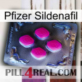 Pfizer Sildenafil 02